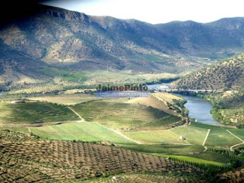 EDIFÍCIO ANTIGO, um só PISO, ampla LOCALIZAÇÃO. Portugal, Figueira de Castelo Rodrigo.