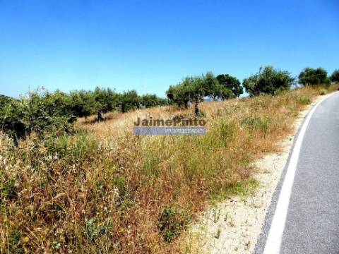 51.000m2 Olival, com Pombal. Figueira de Castelo Rodrigo. Portugal, Barca dAlva, Escalhão.