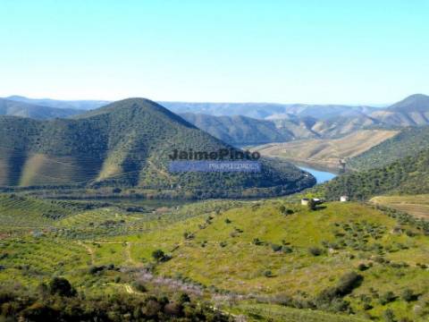 Casa de campo em pedra, 4 quartos, região de Barca DAlva. Portugal, Figueira de Castelo Rodrigo.