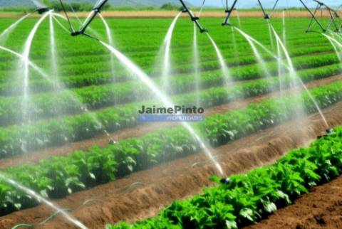 Terreno agrícola 120.000m2 para plantações hortícolas e frutícolas. Portugal, Costa Vicentina, Lagos.
