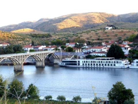 Propriedade com 5.100 oliveiras, 52ha, Barca DAlva. Portugal, Douro Superior, Guarda.