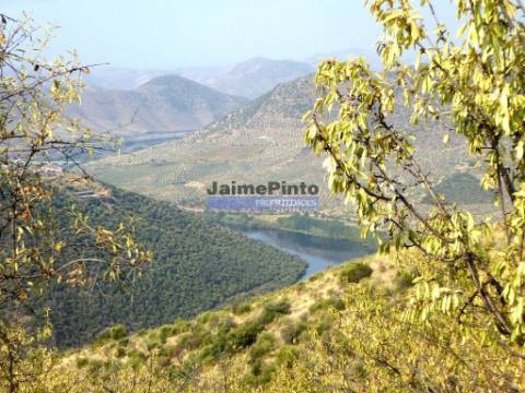 Casa antiga em Poiares, F. E. à Cinta. Portugal, Bragança, F. E. à Cinta, Poiares.