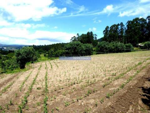 Terreno rústico de 4.900m2 e ruína, Rubiães, em Paredes de Coura. Portugal, Minho, Paredes de Coura.