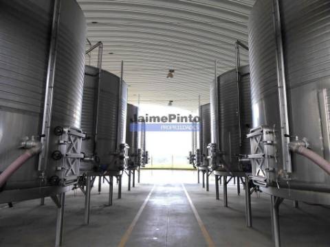 Herdade 157ha, Vinha, Adega, Barragem, Ruínas. Portugal, Elvas.