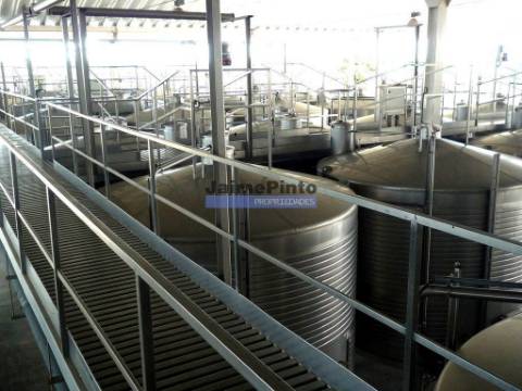 Herdade 157ha, Vinha, Adega, Barragem, Ruínas. Portugal, Elvas.