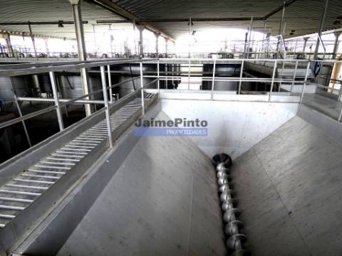 Herdade 157ha, Vinha, Adega, Barragem, Ruínas. Portugal, Elvas.