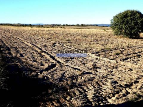 Propriedade plana, 17ha para plantações agrícolas. Portugal, Guarda, F. C. Rodrigo.