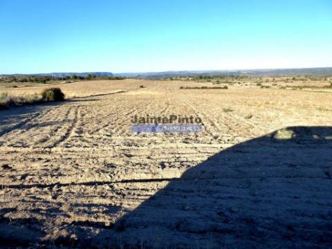 Propriedade plana, 17ha para plantações agrícolas. Portugal, Guarda, F. C. Rodrigo.