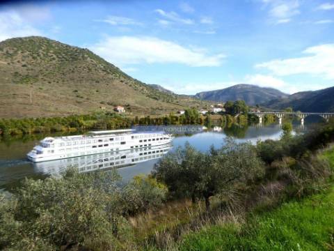 Propriedade plana, 17ha para plantações agrícolas. Portugal, Guarda, F. C. Rodrigo.