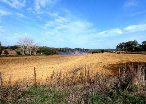 630ha aptidão para BOVINOS, OVINOS, CAPRINOS, CAÇA. Portugal, Beja, Odemira, São Teotónio.
