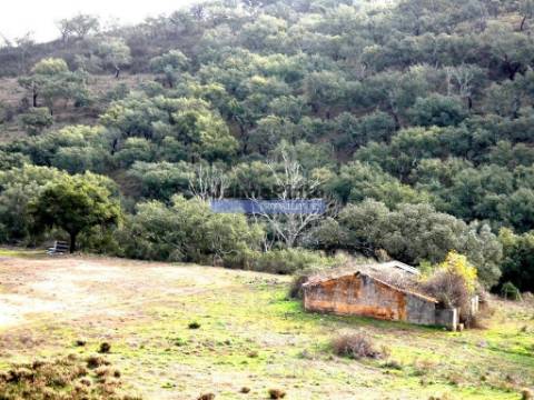 630ha aptidão para BOVINOS, OVINOS, CAPRINOS, CAÇA. Portugal, Beja, Odemira, São Teotónio.
