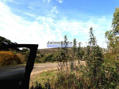 630ha aptidão para BOVINOS, OVINOS, CAPRINOS, CAÇA. Portugal, Beja, Odemira, São Teotónio.