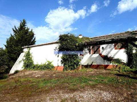 630ha aptidão para BOVINOS, OVINOS, CAPRINOS, CAÇA. Portugal, Beja, Odemira, São Teotónio.