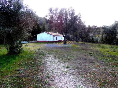 630ha aptidão para BOVINOS, OVINOS, CAPRINOS, CAÇA. Portugal, Beja, Odemira, São Teotónio.