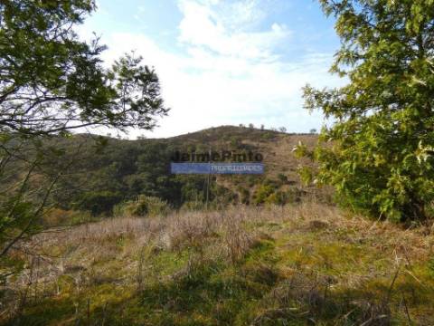 630ha aptidão para BOVINOS, OVINOS, CAPRINOS, CAÇA. Portugal, Beja, Odemira, São Teotónio.