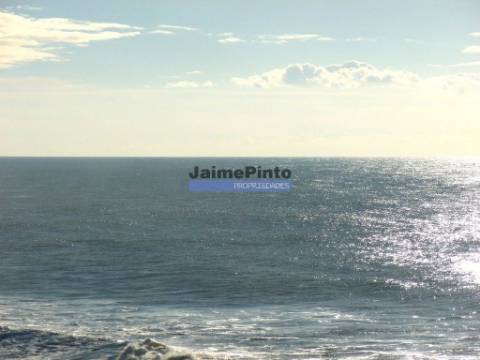 Restaurante de Prestígio. Portugal, Porto, Matosinhos.