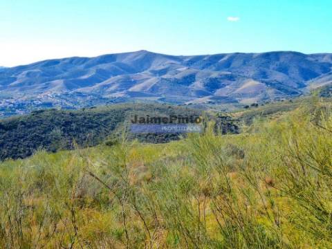 15ha terra agrícola p/ vinha, olival, amendoal. Portugal, V. N. Foz. Côa.