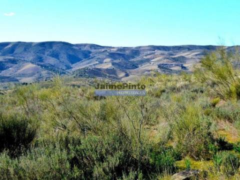 15ha terra agrícola p/ vinha, olival, amendoal. Portugal, V. N. Foz. Côa.