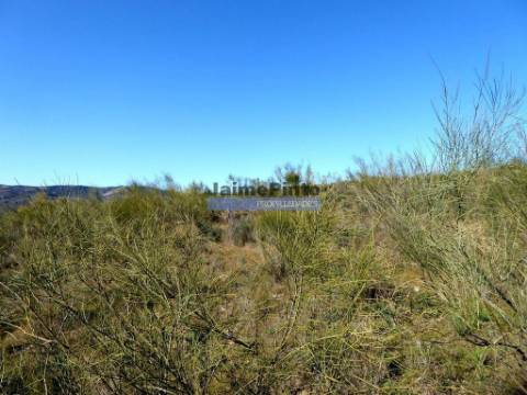 15ha terra agrícola p/ vinha, olival, amendoal. Portugal, V. N. Foz. Côa.