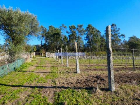 60.000m2 Terreno, Floresta, Casa, Capela, Edifícios, em Barcelos. Portugal, Norte, Braga.