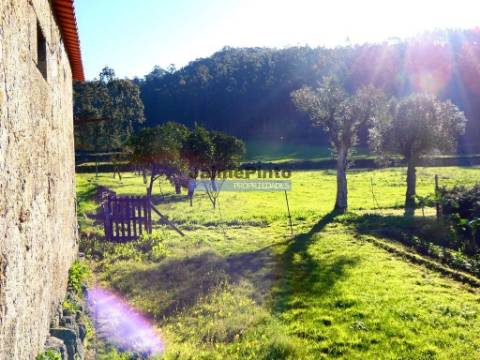 60.000m2 Terreno, Floresta, Casa, Capela, Edifícios, em Barcelos. Portugal, Norte, Braga.