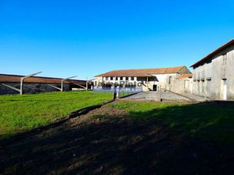 60.000m2 Terreno, Floresta, Casa, Capela, Edifícios, em Barcelos. Portugal, Norte, Braga.