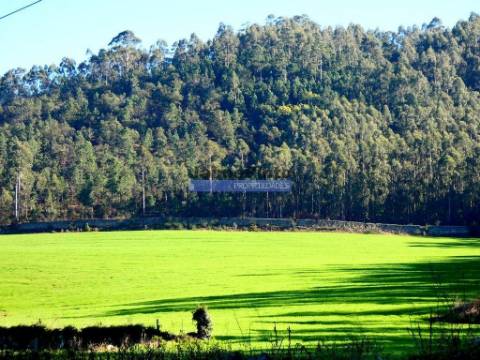60.000m2 Terreno, Floresta, Casa, Capela, Edifícios, em Barcelos. Portugal, Norte, Braga.