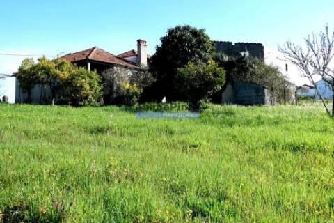Casa em Ruína, com 3.600m2 terreno agrícola, S. Pedro de Alva. Portugal, Coimbra, Penacova.