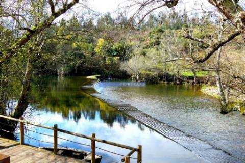 Casa em Ruína, com 3.600m2 terreno agrícola, S. Pedro de Alva. Portugal, Coimbra, Penacova.