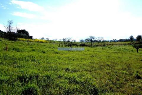 Casa em Ruína, com 3.600m2 terreno agrícola, S. Pedro de Alva. Portugal, Coimbra, Penacova.