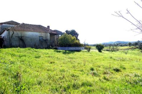 Casa em Ruína, com 3.600m2 terreno agrícola, S. Pedro de Alva. Portugal, Coimbra, Penacova.