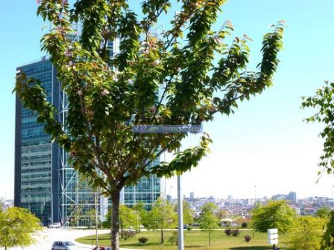 Arrenda-se ESCRITÓRIO em piso elevado. Portugal, V. N. Gaia.