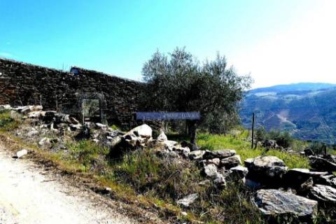 Propriedade 25.000m2 com vinha e algum olival. Portugal, Douro Interior, Carrazeda de Ansiães.