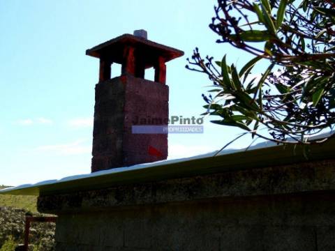 Propriedade 170.000m2, com olival, vinha e terreno p/ novas plantações. Portugal, Bragança, Douro Interior, VILA FLOR.