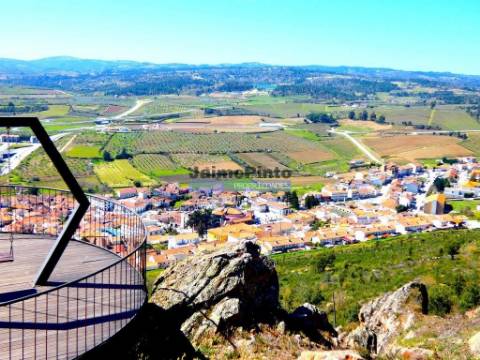 Propriedade 170.000m2, com olival, vinha e terreno p/ novas plantações. Portugal, Bragança, Douro Interior, VILA FLOR.