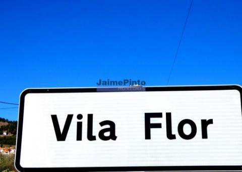 Propriedade 170.000m2, com olival, vinha e terreno p/ novas plantações. Portugal, Bragança, Douro Interior, VILA FLOR.