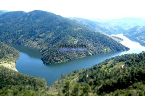 Olival 25.000m2, 400 oliveiras, de encosta. Portugal, Douro Interior, CARRAZEDA DE ANSIÃES.