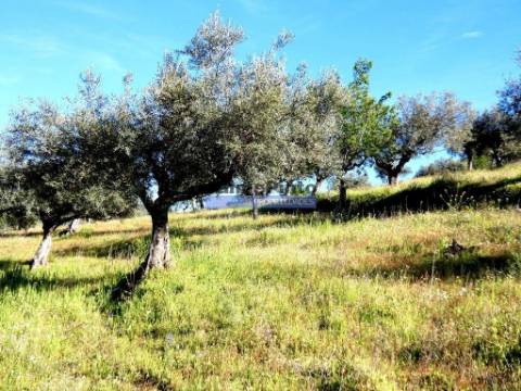200.000m2 Propriedade com Olival, em Barca DAlva. Portugal, Guarda, Figueira de Castelo Rodrigo.
