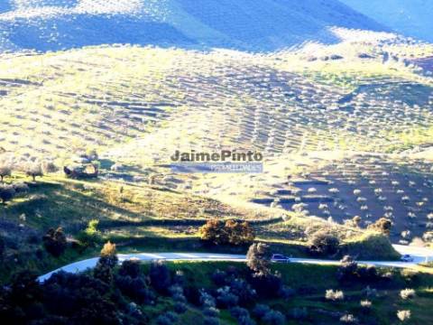 200.000m2 Propriedade com Olival, em Barca DAlva. Portugal, Guarda, Figueira de Castelo Rodrigo.