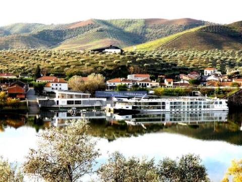 150.000m2 com Olival, em Barca DAlva. Portugal, Douro Superior, Barca DAlva.