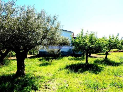 80.000m2 Quinta, Olival, Vinha, Casa, Douro Superior. Portugal, V. N. Foz Côa.