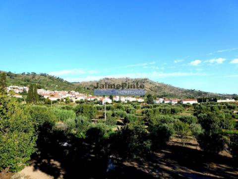 Quinta 38.000m2, com 400 Oliveiras, casa em PEDRA, inserida na Natureza. Portugal, Guarda, Celorico da Beira.