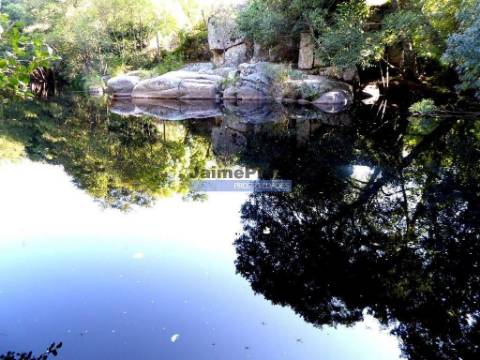 Quinta 38.000m2, com 400 Oliveiras, casa em PEDRA, inserida na Natureza. Portugal, Guarda, Celorico da Beira.