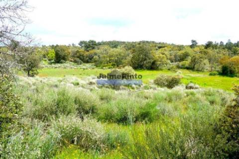 Quinta 38.000m2, com 400 Oliveiras, casa em PEDRA, inserida na Natureza. Portugal, Guarda, Celorico da Beira.