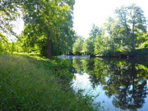 Quinta 38.000m2, com 400 Oliveiras, casa em PEDRA, inserida na Natureza. Portugal, Guarda, Celorico da Beira.