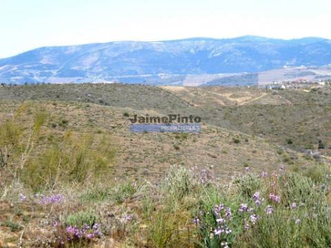 350.000m2 de terra rústica com olival. Portugal, Vila Nova de Foz Côa, Douro.