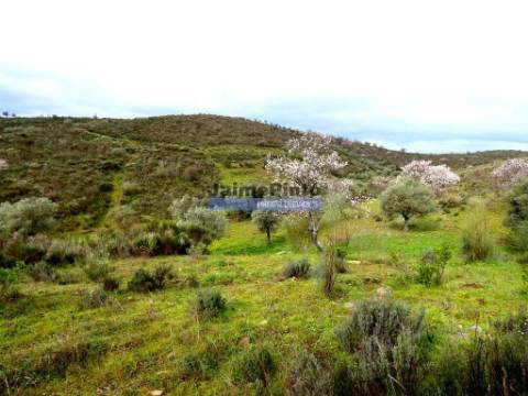 350.000m2 de terra rústica com olival. Portugal, Vila Nova de Foz Côa, Douro.