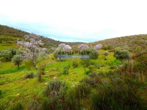 350.000m2 de terra rústica com olival. Portugal, Vila Nova de Foz Côa, Douro.