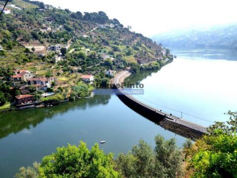 34.000m2 de terreno (Quinta) e 2 Ruínas a 8 minutos do Rio Douro. Portugal, Baião.