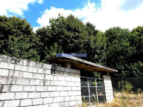 34.000m2 de terreno (Quinta) e 2 Ruínas a 8 minutos do Rio Douro. Portugal, Baião.